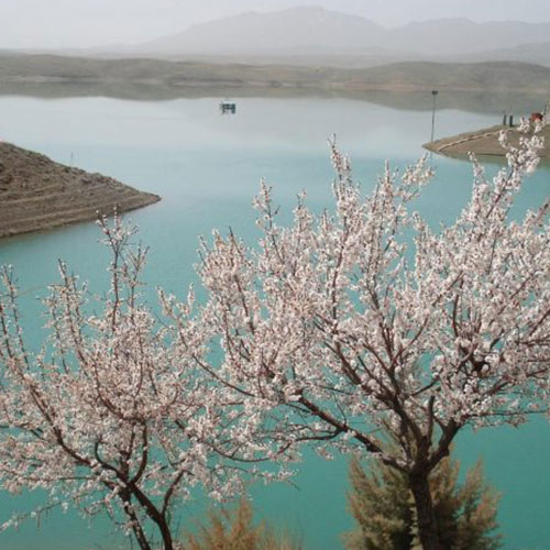 جاهای دیدنی اصفهان در زمستان-چادگان اصفهان